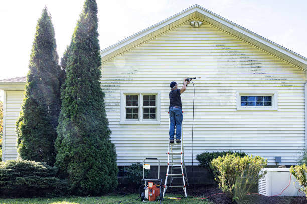 Best Gutter Cleaning  in Cypress, CA
